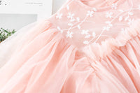 Load image into Gallery viewer, Baby Kid Girls Embroidered Dresses Wholesale 230114514
