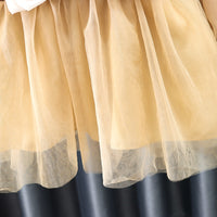 Load image into Gallery viewer, Baby Kid Girls Color-blocking Bow Lace Dresses Wholesale 230114536
