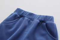 Load image into Gallery viewer, 2 Pieces Set Baby Kid Boys Letters Color-blocking Animals Cartoon Print Hoodies Sweatshirts And Pants Wholesale 230129425
