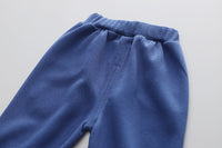 Load image into Gallery viewer, 2 Pieces Set Baby Kid Boys Letters Color-blocking Animals Cartoon Print Hoodies Sweatshirts And Pants Wholesale 230129425
