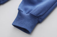 Load image into Gallery viewer, 2 Pieces Set Baby Kid Boys Letters Color-blocking Animals Cartoon Print Hoodies Sweatshirts And Pants Wholesale 230129425
