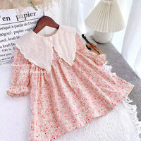Load image into Gallery viewer, Baby Kid Girls Flower Print Dresses Wholesale 230201125
