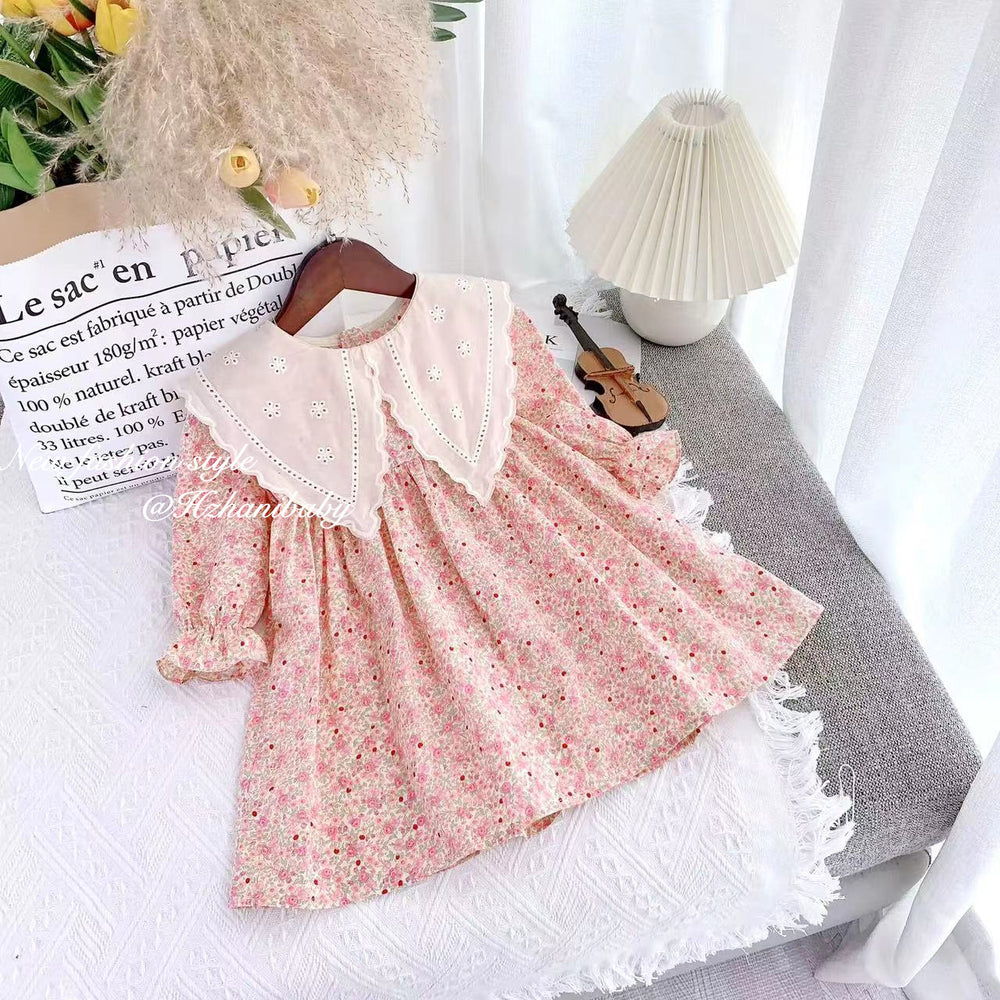 Baby Kid Girls Flower Print Dresses Wholesale 230201125