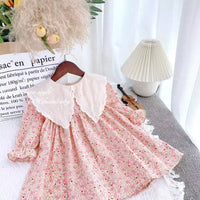 Load image into Gallery viewer, Baby Kid Girls Flower Print Dresses Wholesale 230201125
