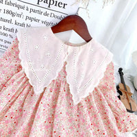 Load image into Gallery viewer, Baby Kid Girls Flower Print Dresses Wholesale 230201125
