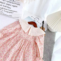Load image into Gallery viewer, Baby Kid Girls Flower Print Dresses Wholesale 230201125
