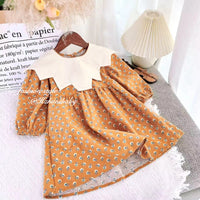 Load image into Gallery viewer, Baby Kid Girls Flower Print Dresses Wholesale 230201203
