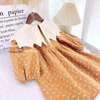 Load image into Gallery viewer, Baby Kid Girls Flower Print Dresses Wholesale 230201203
