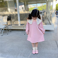 Load image into Gallery viewer, Baby Kid Girls Cartoon Embroidered Print Dresses Wholesale 230201288
