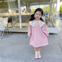 Load image into Gallery viewer, Baby Kid Girls Cartoon Embroidered Print Dresses Wholesale 230201288
