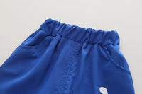 Load image into Gallery viewer, 2 Pieces Set Baby Kid Boys Cartoon T-Shirts And Shorts Wholesale 230206208
