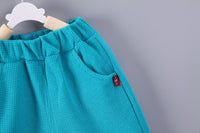 Load image into Gallery viewer, 2 Pieces Set Baby Kid Boys Embroidered Alphabet T-Shirts And Solid Color Shorts Wholesale 23020668
