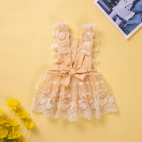Load image into Gallery viewer, Baby Girls Lace Rompers Wholesale 230213430
