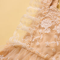 Load image into Gallery viewer, Baby Girls Lace Rompers Wholesale 230213430
