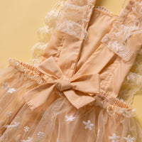 Load image into Gallery viewer, Baby Girls Lace Rompers Wholesale 230213430
