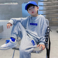 Load image into Gallery viewer, 2 Pieces Set Kid Boys Letters Hoodies Sweatshirts And Solid Color Pants Wholesale 23021661
