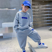 Load image into Gallery viewer, 2 Pieces Set Kid Boys Letters Hoodies Sweatshirts And Solid Color Pants Wholesale 23021661
