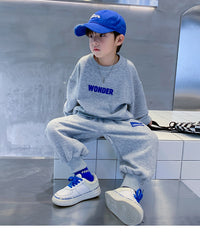 Load image into Gallery viewer, 2 Pieces Set Kid Boys Letters Hoodies Sweatshirts And Solid Color Pants Wholesale 23021661
