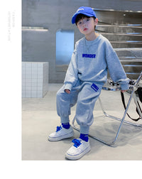 Load image into Gallery viewer, 2 Pieces Set Kid Boys Letters Hoodies Sweatshirts And Solid Color Pants Wholesale 23021661

