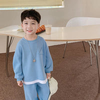 Load image into Gallery viewer, 2 Pieces Set Baby Kid Boys Solid Color Hoodies Sweatshirts And Pants Wholesale 23021669
