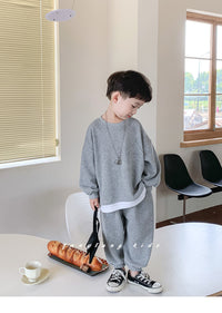 Load image into Gallery viewer, 2 Pieces Set Baby Kid Boys Solid Color Hoodies Sweatshirts And Pants Wholesale 23021669
