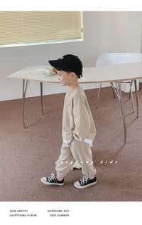 Load image into Gallery viewer, 2 Pieces Set Baby Kid Boys Solid Color Hoodies Sweatshirts And Pants Wholesale 23021669
