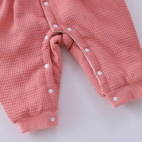 Load image into Gallery viewer, Baby Girls Embroidered Jumpsuits Wholesale 23021679
