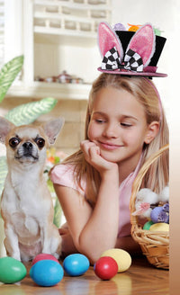 Load image into Gallery viewer, Girls Cartoon Bow Easter Accessories Headwear Wholesale 230220213
