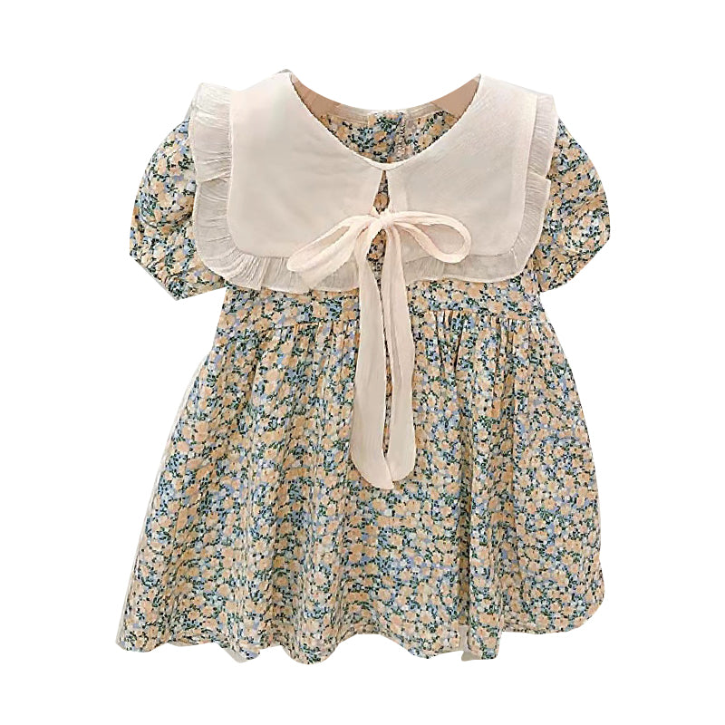 Baby Kid Girls Flower Print Dresses Wholesale 23022105