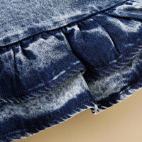 Load image into Gallery viewer, Baby Girls Butterfly Embroidered Dresses Wholesale 230222149
