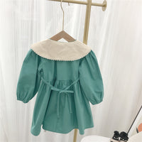 Load image into Gallery viewer, Baby Kid Girls Flower Embroidered Dresses Wholesale 23022298
