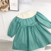 Load image into Gallery viewer, Baby Kid Girls Flower Embroidered Dresses Wholesale 23022298
