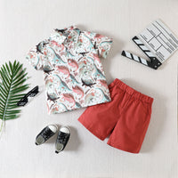 Load image into Gallery viewer, 2 Pieces Set Baby Kid Boys Cartoon Print Shirts And Solid Color Shorts Wholesale 230224251
