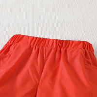 Load image into Gallery viewer, 2 Pieces Set Baby Kid Boys Cartoon Print Shirts And Solid Color Shorts Wholesale 230224251
