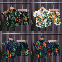 Load image into Gallery viewer, 2 Pieces Set Baby Kid Boys Print Tops And Shorts Wholesale 23022428
