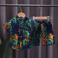 Load image into Gallery viewer, 2 Pieces Set Baby Kid Boys Print Tops And Shorts Wholesale 23022428
