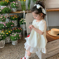 Load image into Gallery viewer, Baby Kid Girls Checked Dresses Wholesale 230227740

