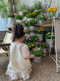 Load image into Gallery viewer, Baby Kid Girls Checked Dresses Wholesale 230227740
