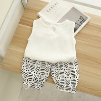 Load image into Gallery viewer, 2 Pieces Set Baby Kid Boys Solid Color Print Tank Tops And Graphic Pants Wholesale 230228339
