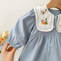 Load image into Gallery viewer, Baby Girls Embroidered Rompers Wholesale 230302440
