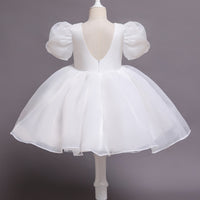 Load image into Gallery viewer, Baby Kid Girls Solid Color Flower Dressy Dresses Princess Dresses Wholesale 23030283
