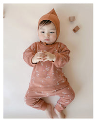 Load image into Gallery viewer, 2 Pieces Set Baby Unisex Dinosaur Print Hoodies Sweatshirts And Pants Wholesale 230303154
