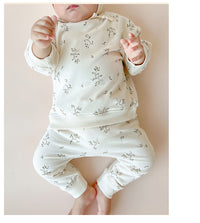 Load image into Gallery viewer, 2 Pieces Set Baby Unisex Dinosaur Print Hoodies Sweatshirts And Pants Wholesale 230303154
