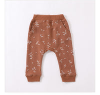 Load image into Gallery viewer, 2 Pieces Set Baby Unisex Dinosaur Print Hoodies Sweatshirts And Pants Wholesale 230303154
