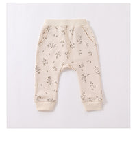 Load image into Gallery viewer, 2 Pieces Set Baby Unisex Dinosaur Print Hoodies Sweatshirts And Pants Wholesale 230303154
