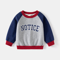 Load image into Gallery viewer, Baby Kid Boys Letters Color-blocking Hoodies Sweatshirts Wholesale 230303201
