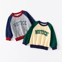 Load image into Gallery viewer, Baby Kid Boys Letters Color-blocking Hoodies Sweatshirts Wholesale 230303201
