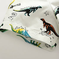 Load image into Gallery viewer, Kid Boys Letters Dinosaur Print Shirts Wholesale 23030808
