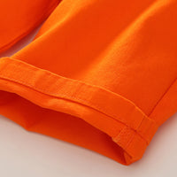 Load image into Gallery viewer, 2 Pieces Set Kid Boys Checked Shirts And Solid Color Shorts Wholesale 23030812
