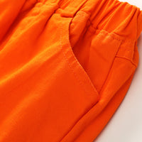 Load image into Gallery viewer, 2 Pieces Set Kid Boys Checked Shirts And Solid Color Shorts Wholesale 23030812
